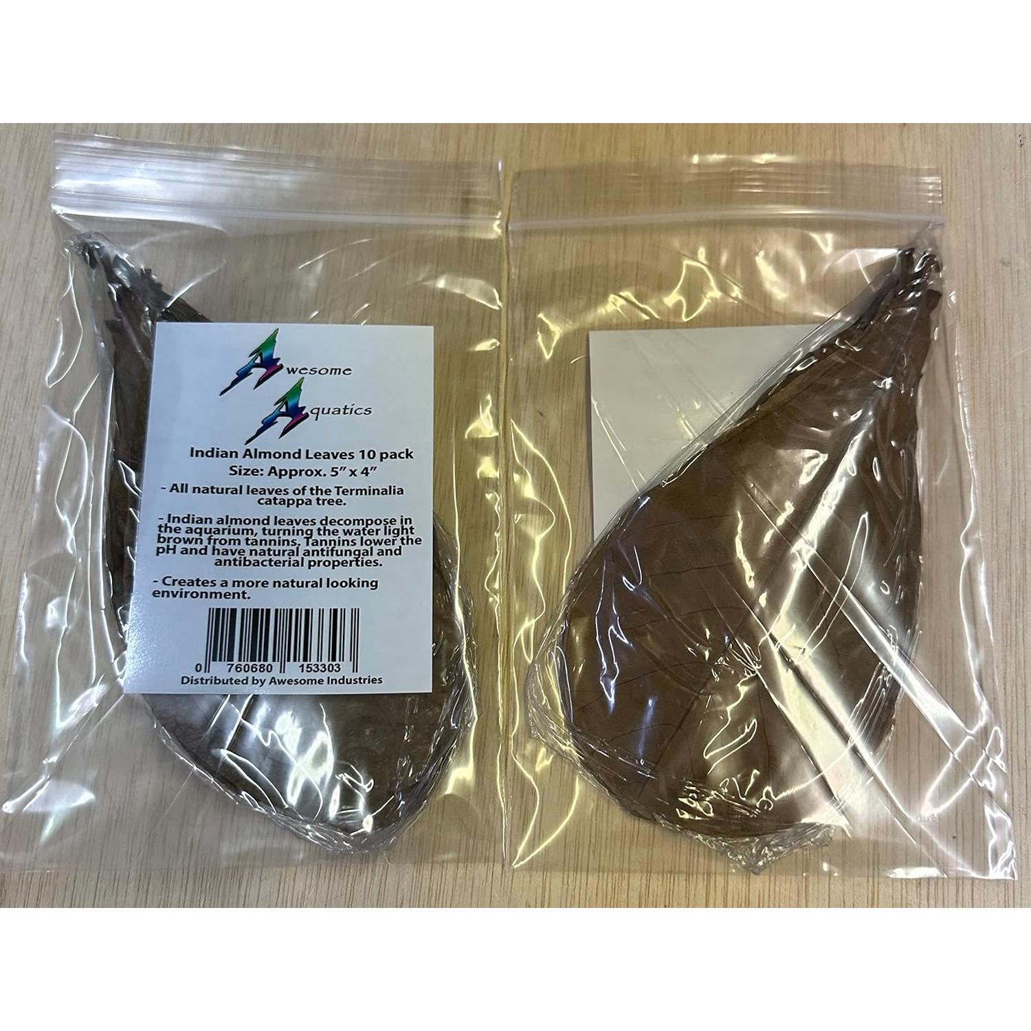 Hojas de Almendra India Catappa 10 Unidades - Taninos para Betta