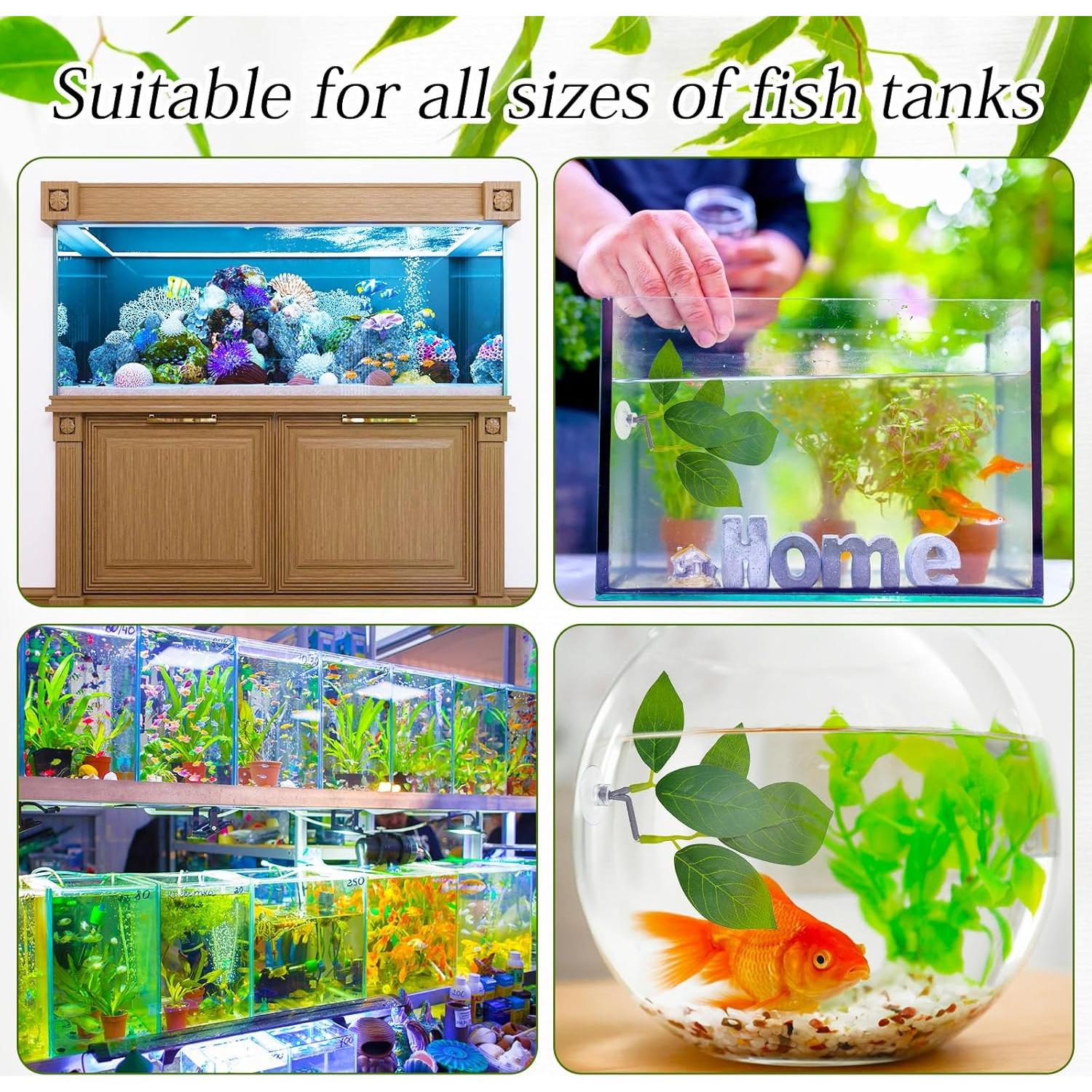 Paquete de 3 almohadillas de hoja Thinp para peces Betta