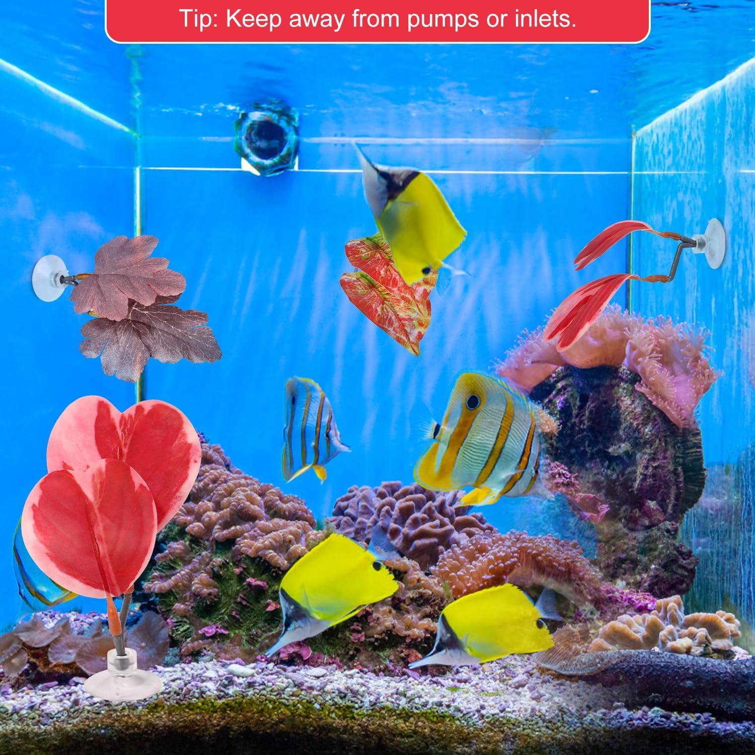 Juego de 4 Hamacas de Hoja para Betta Lyreh - Rojo