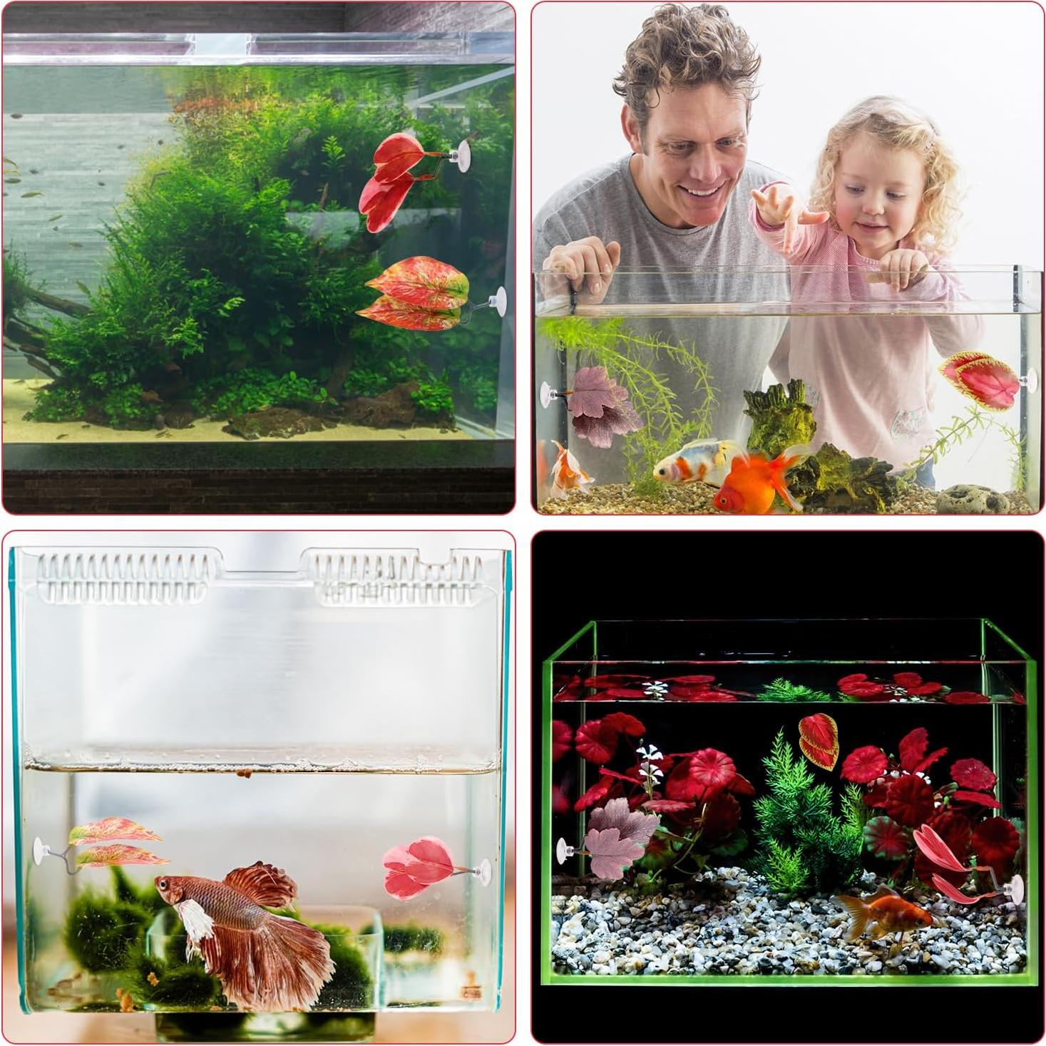 Juego de 4 Hamacas de Hoja para Betta Lyreh - Rojo