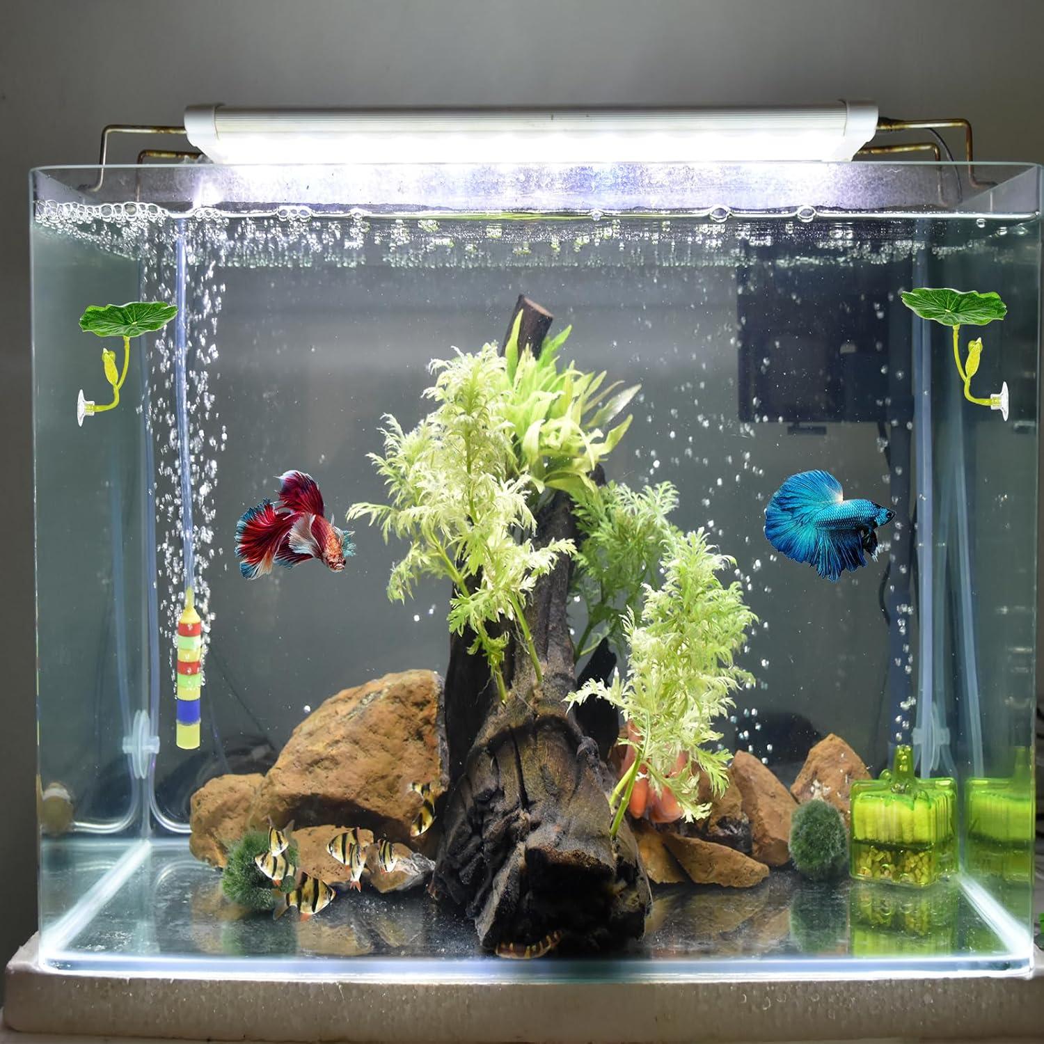 Hamaca para Peces Betta QfwdfcTrenz 3 Pcs Verde Decorativa