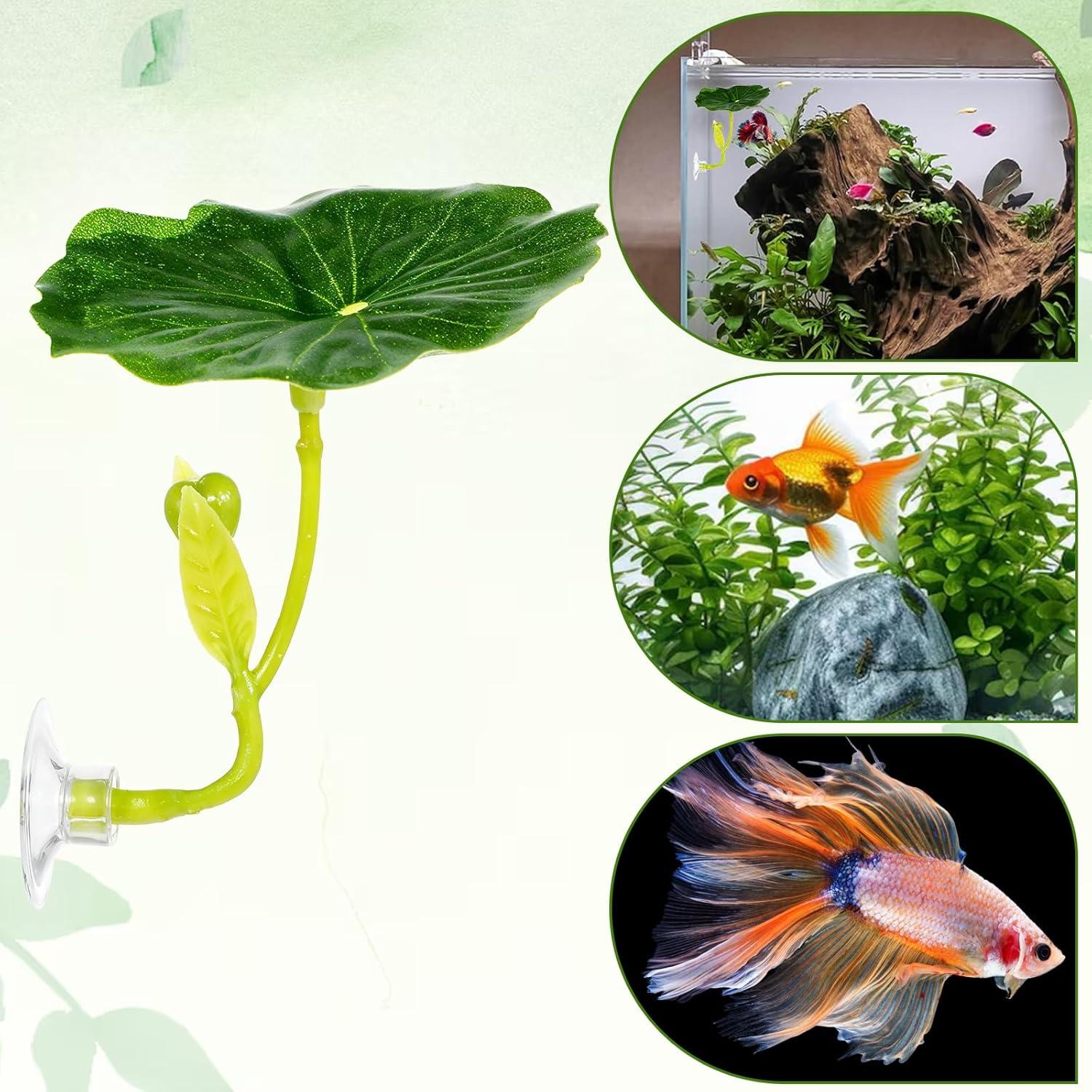 Hamaca para Peces Betta QfwdfcTrenz 3 Pcs Verde Decorativa