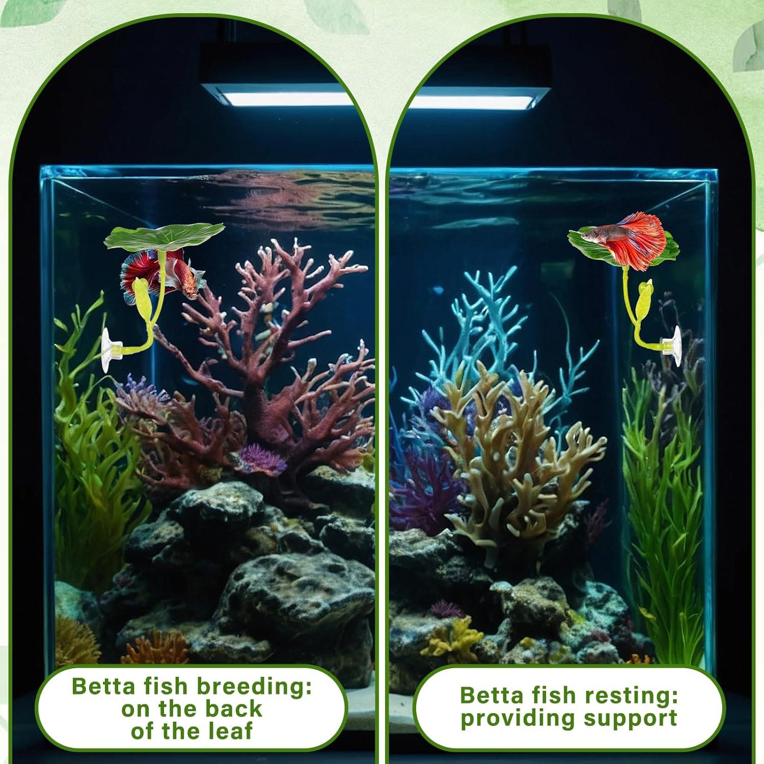 Hamaca para Peces Betta QfwdfcTrenz 3 Pcs Verde Decorativa