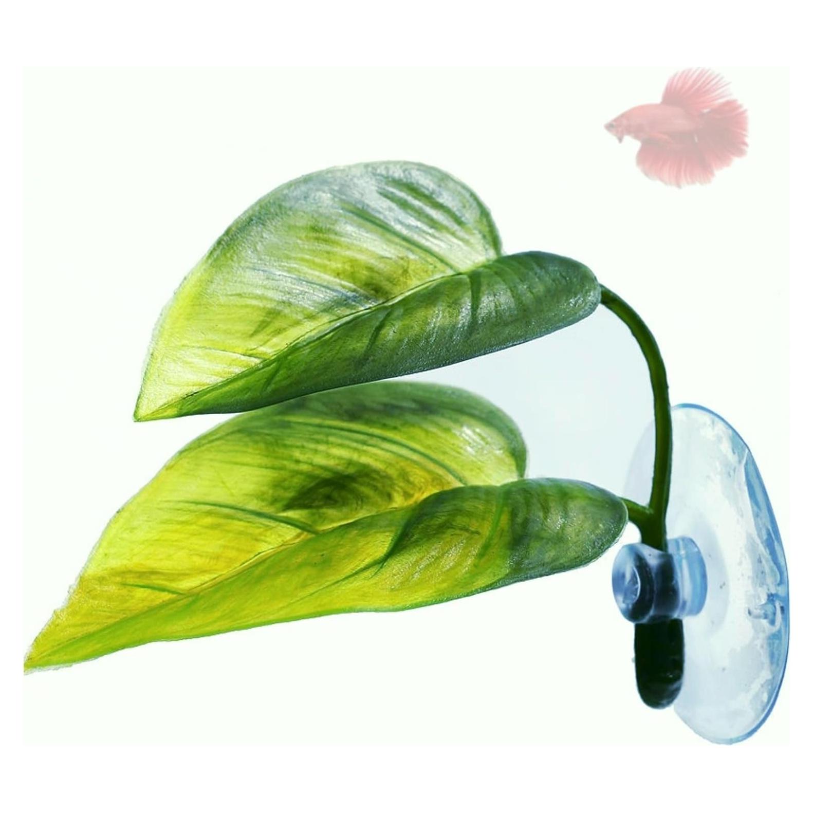 Cama Suave para Betta DODO con Ventosa - Refugio Natural 1pieza