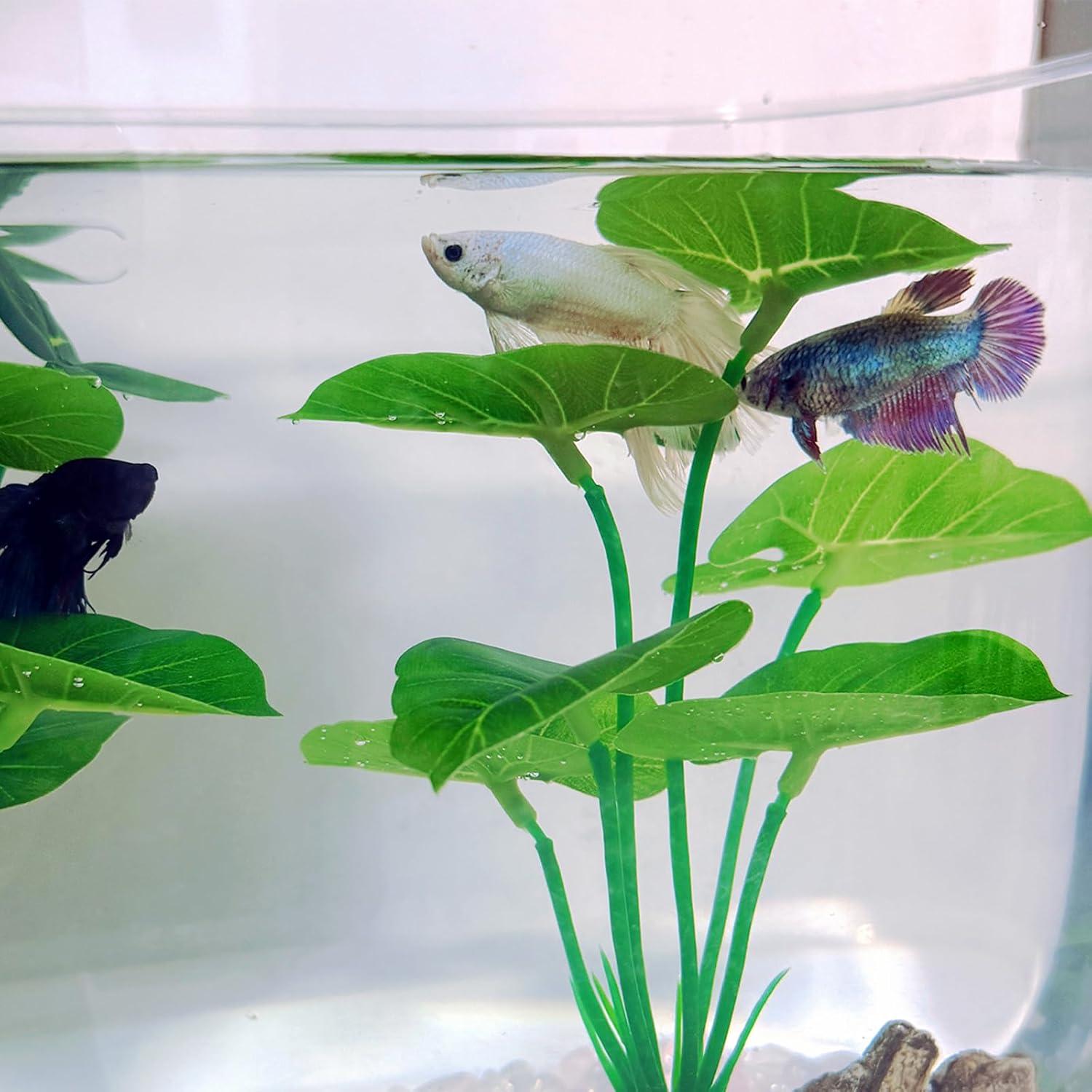 Planta de Acuario Artificial UreverFins con Madera Flotante 15cm