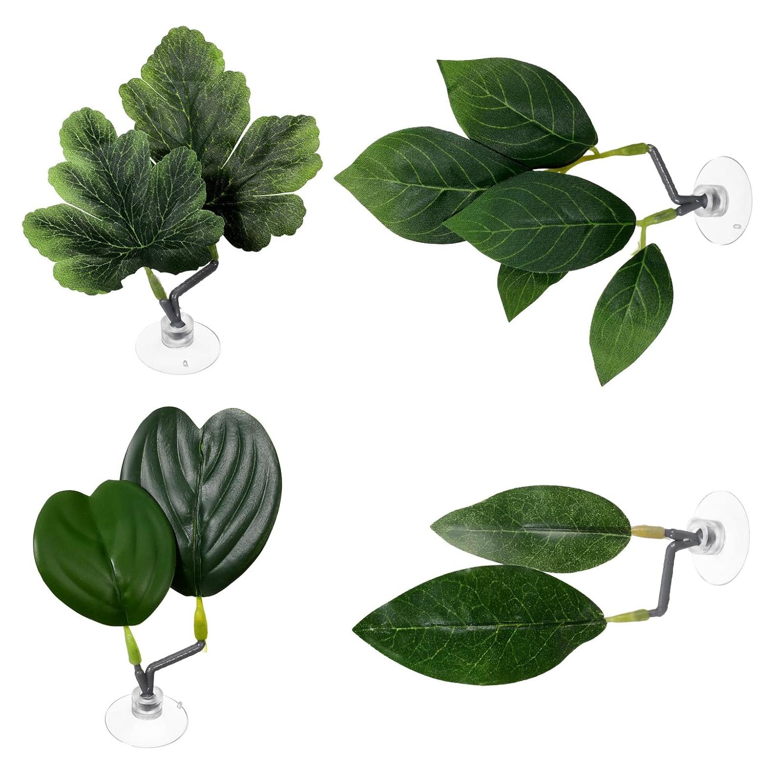 4 Hojas de Betta KALIONE - Accesorios para Acuario Verde