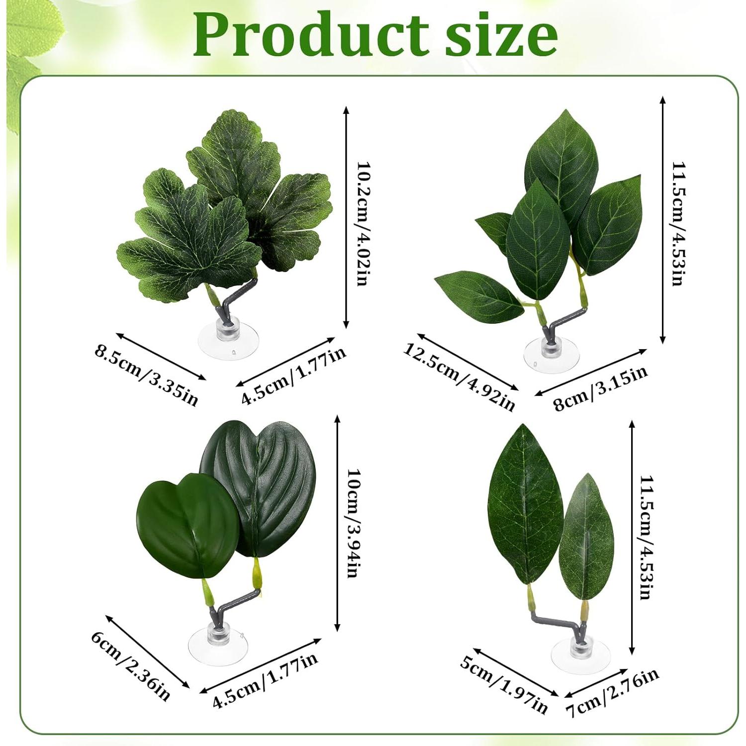 4 Hojas de Betta KALIONE - Accesorios para Acuario Verde