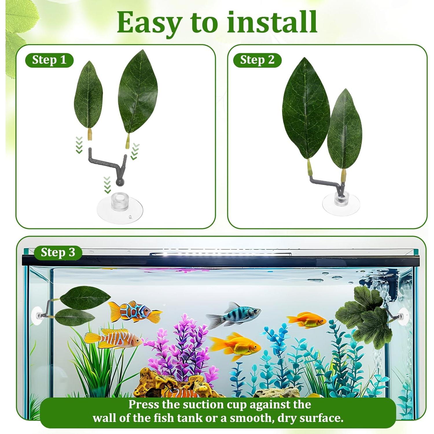 4 Hojas de Betta KALIONE - Accesorios para Acuario Verde