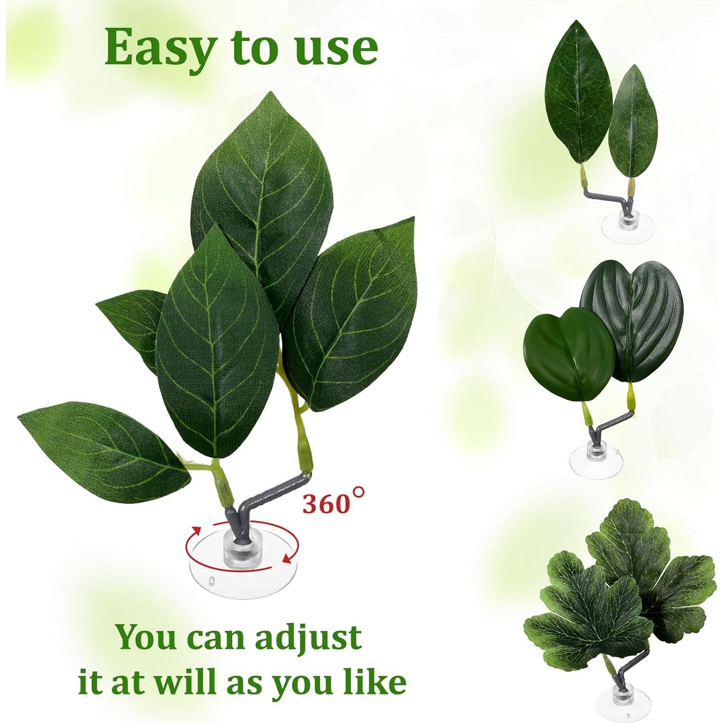 4 Hojas de Betta KALIONE - Accesorios para Acuario Verde