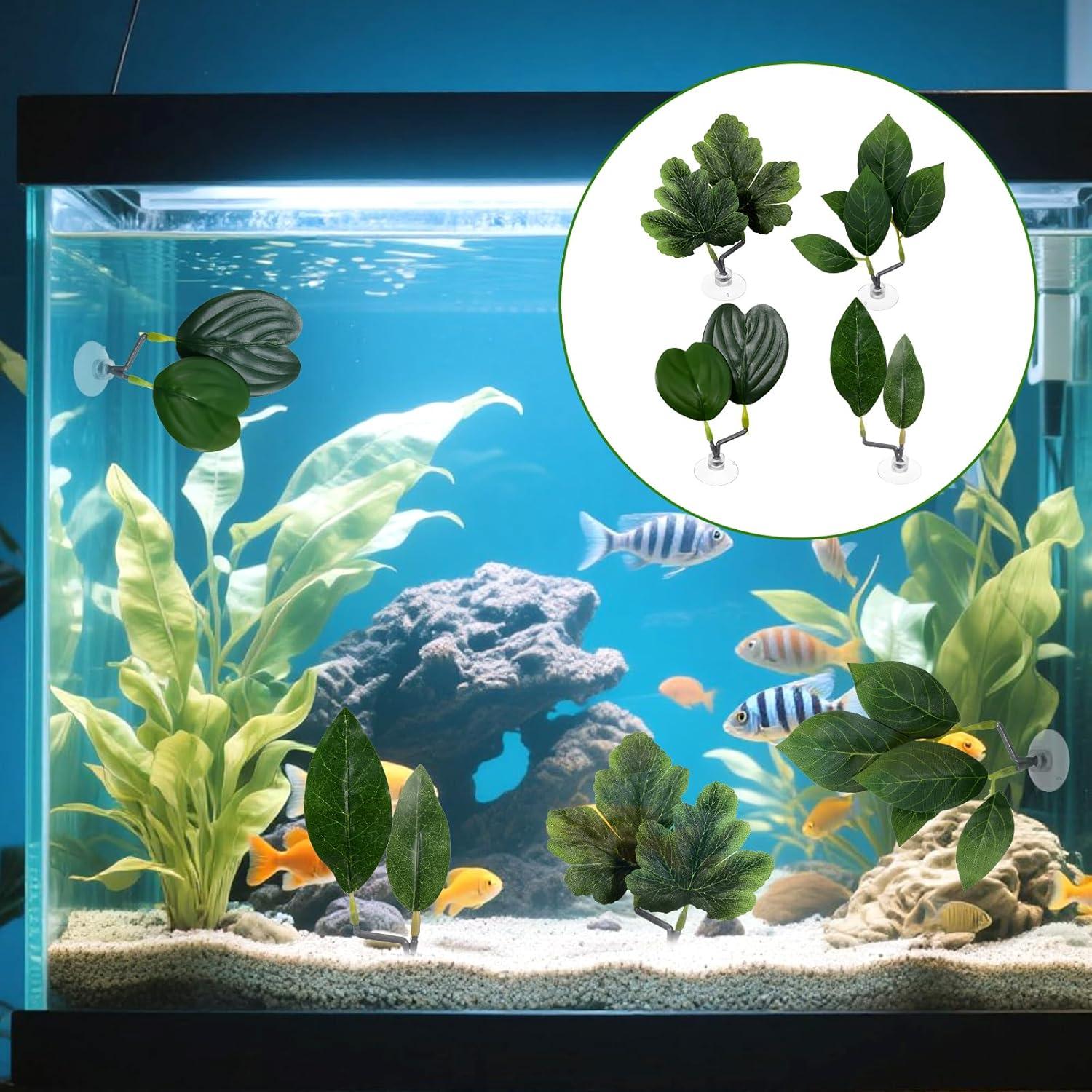 4 Hojas de Betta KALIONE - Accesorios para Acuario Verde