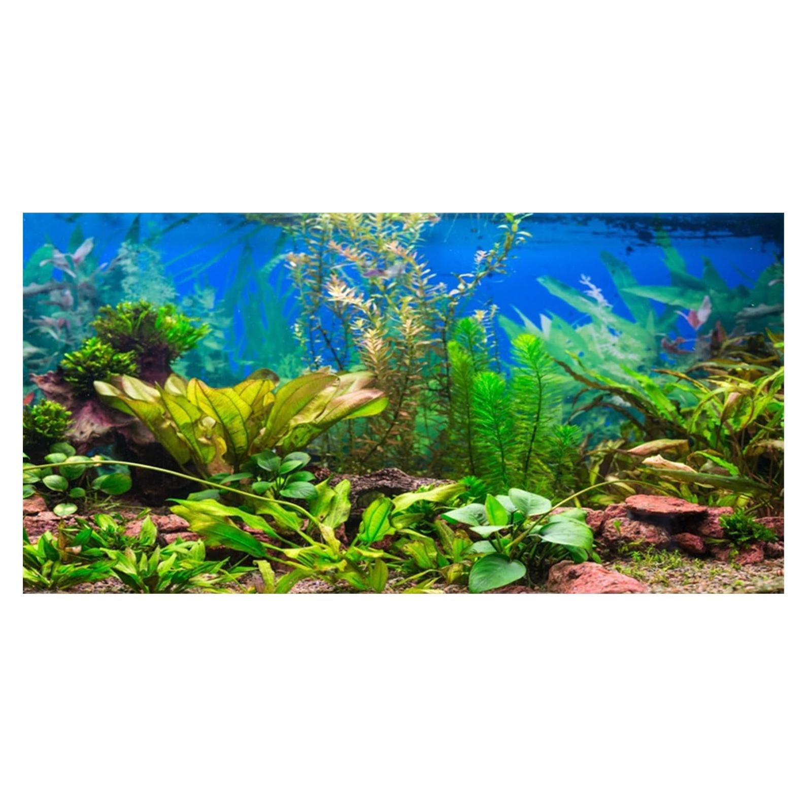 Fondo de Acuario Vinilo 60x30 cm AWERT - Decoración Natural