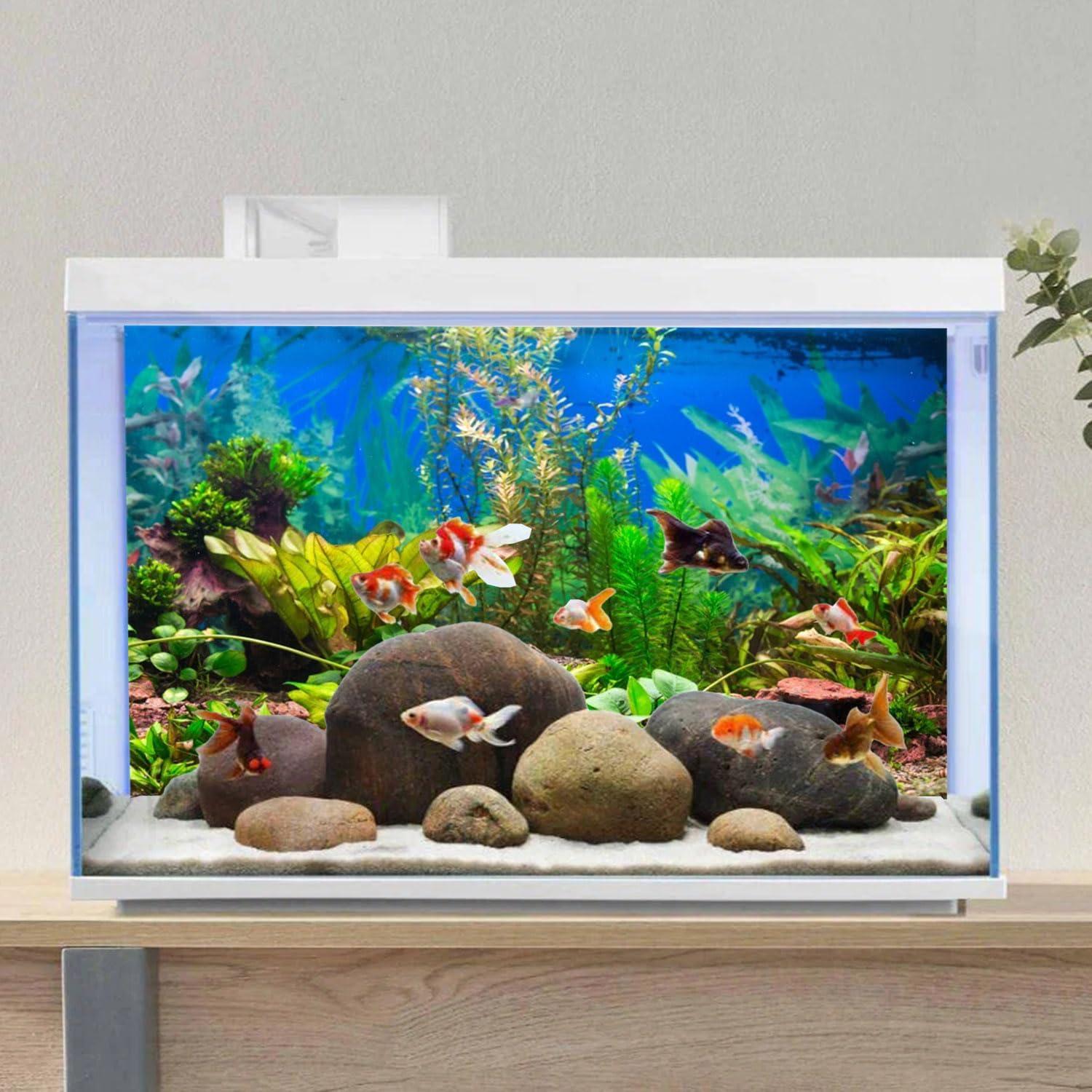 Fondo de Acuario Vinilo 60x30 cm AWERT - Decoración Natural