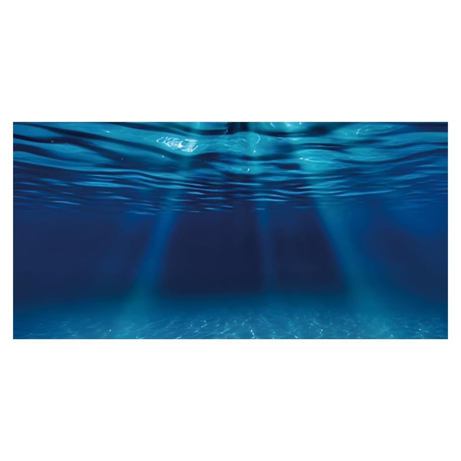 Fondo de Acuario AWERT 120x60 cm Vinilo Resistente