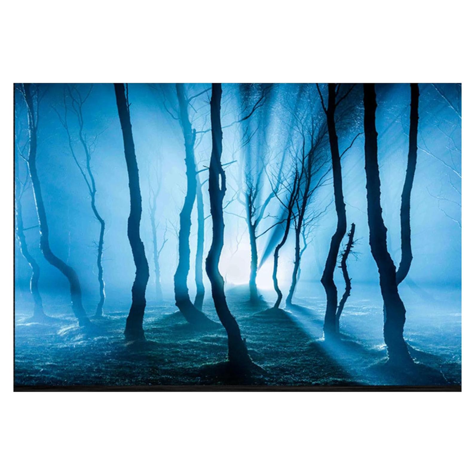 Fondo de Acuario Doble Cara ELEBOX 3D 30x81 cm PVC