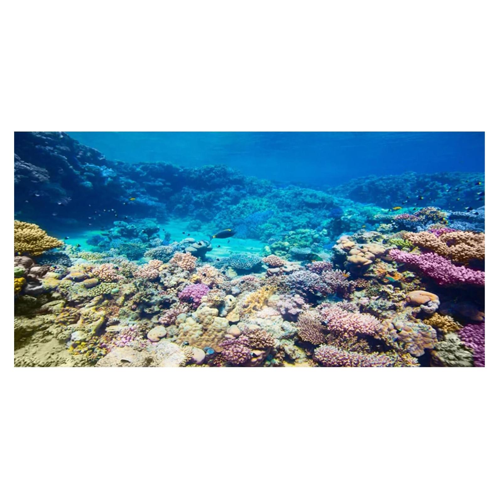 Fondo de Acuario AWERT 120x60 cm Coral Reef Poliester
