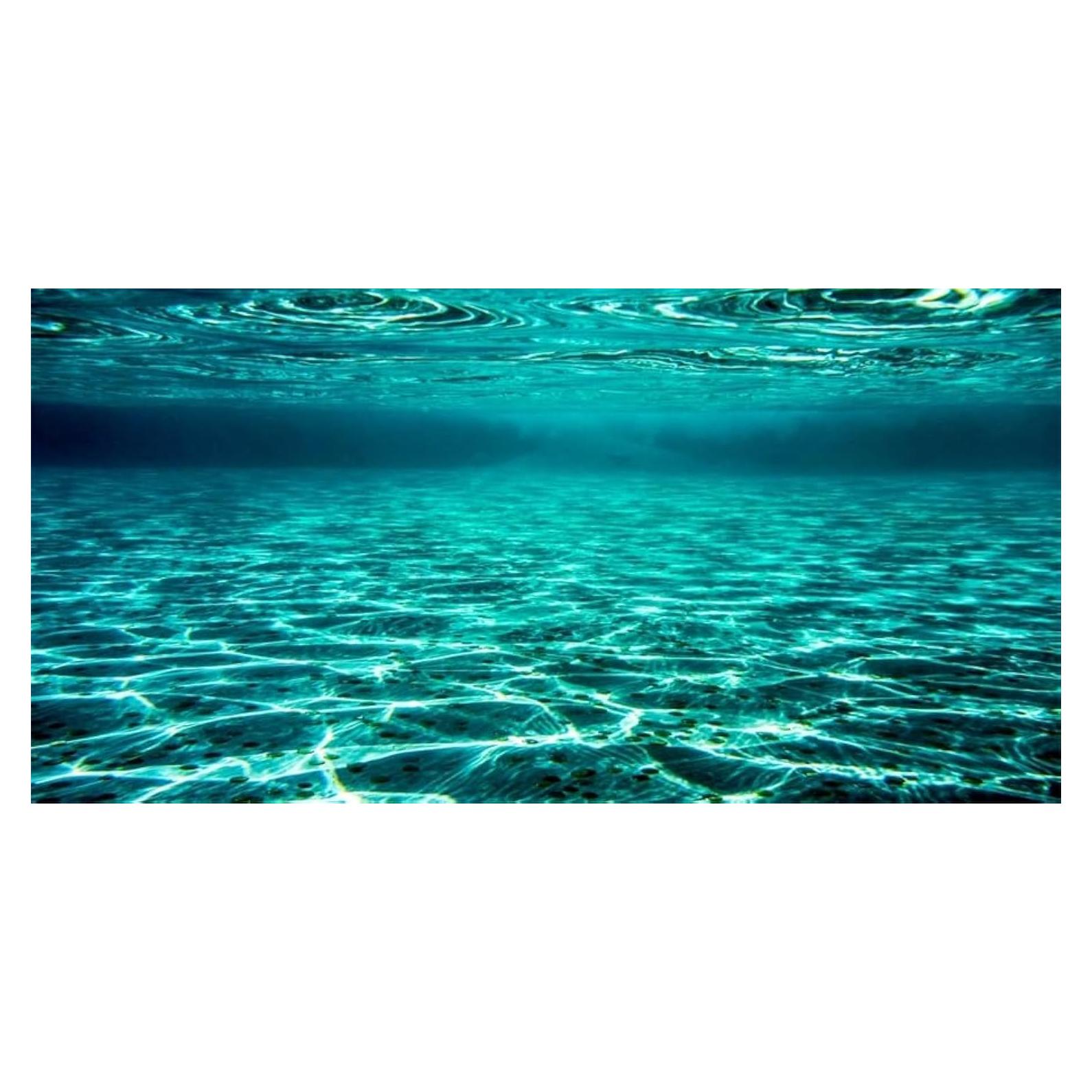 Fondo de Acuario YongFoto 121.9x45.7 cm Tela Poliester