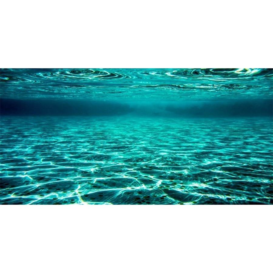 Fondo de Acuario YongFoto 121.9x45.7 cm Tela Poliester
