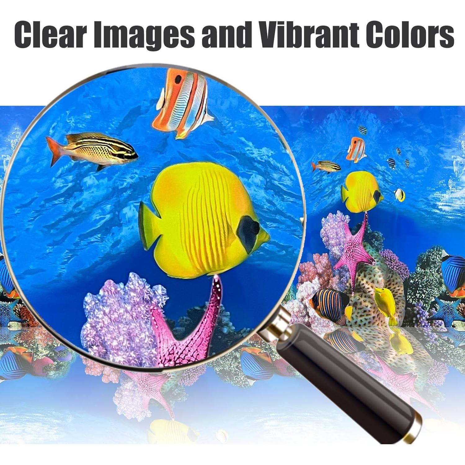 Póster de Acuario 3D XCNO 29.46x63.5cm Vinilo Premium