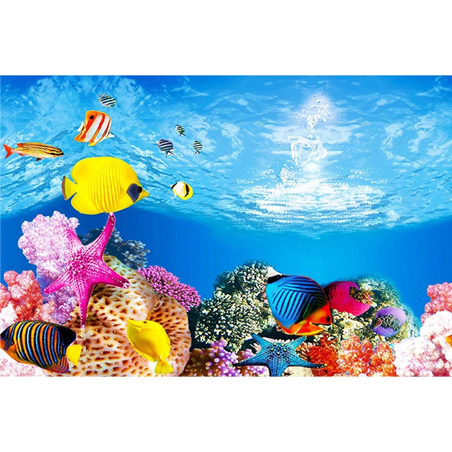 Fondo Marino Amalong para Acuario 63.5x38.1 cm Decorativo