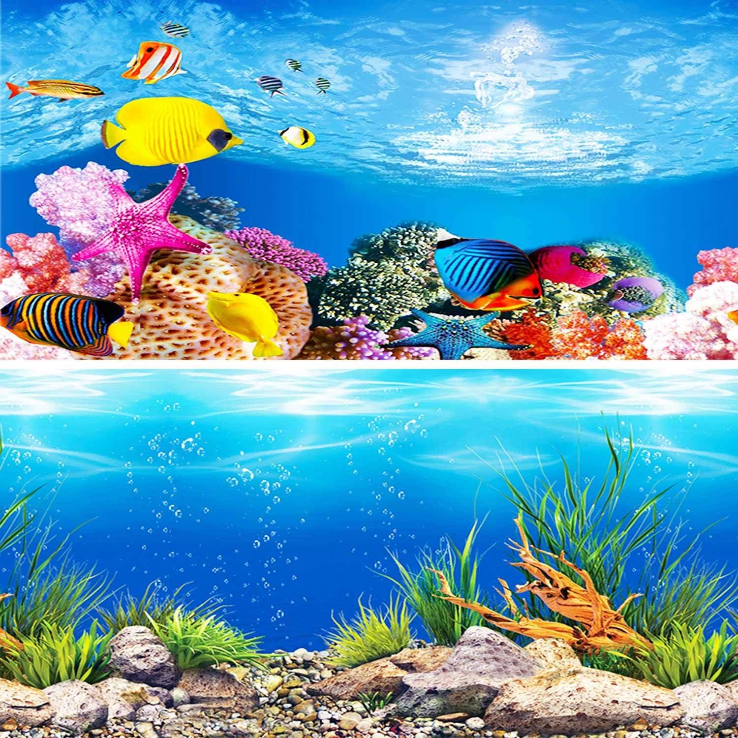 Fondo Marino Amalong para Acuario 63.5x38.1 cm Decorativo