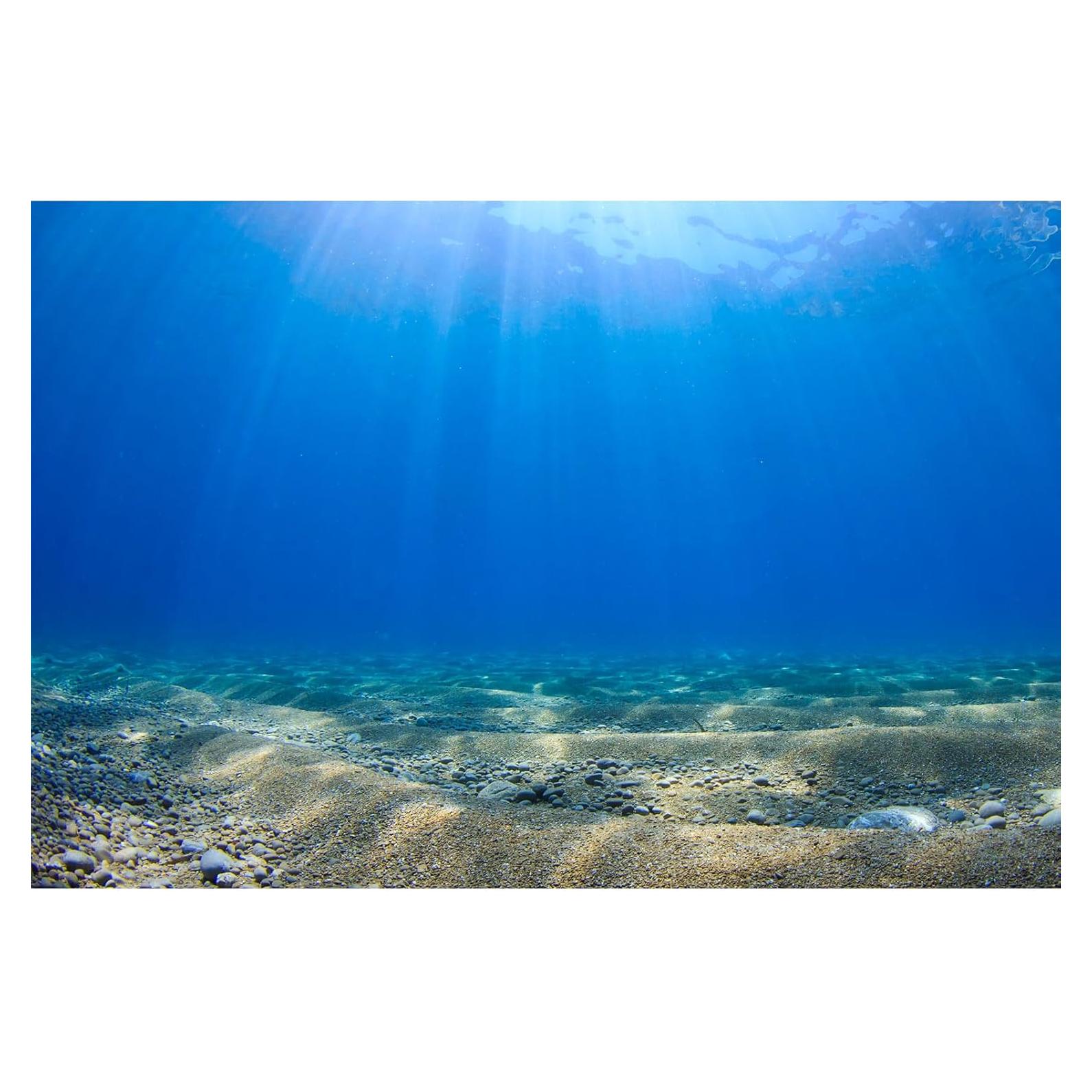 Fondo de Acuario Vinilo 60x30cm Riivvdise Azul HD