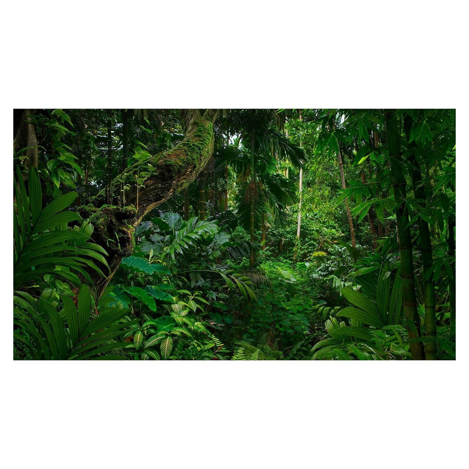 Fondo de Acuario Vinilo Duradero 120x60cm Selva Tropical