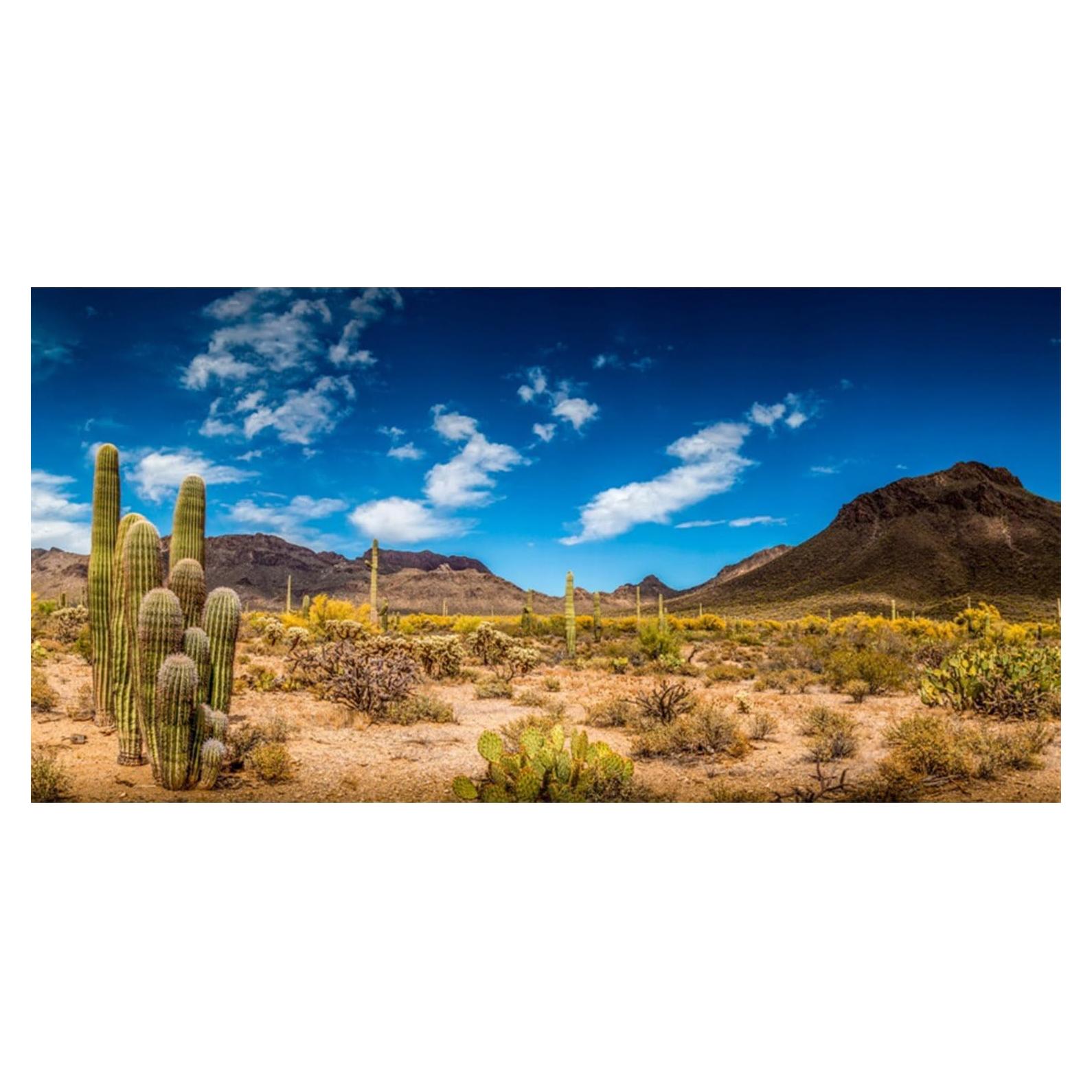 Fondo de Terrario Vinilo AWERT 90x50 cm Cielo Azul Oasis
