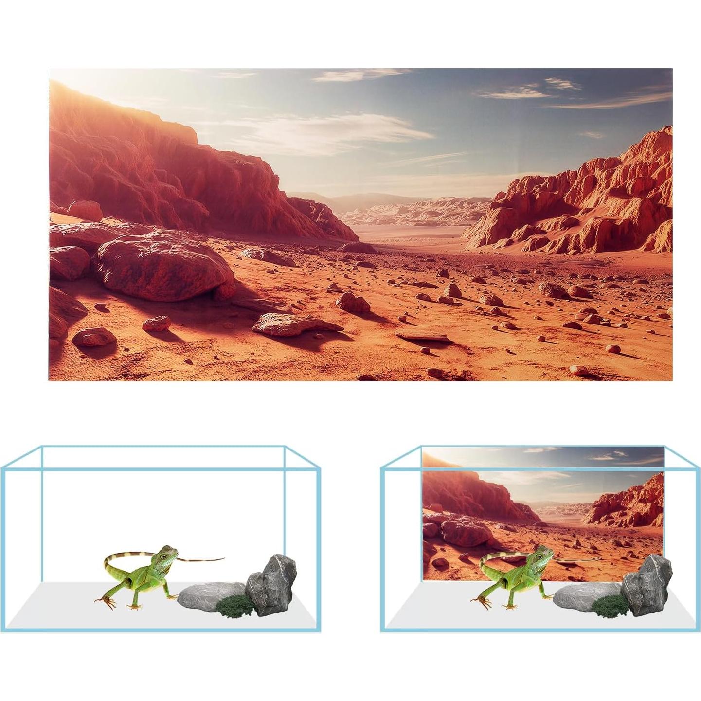 Fondo para Terrario COMSUN 90x45 cm Poliester Cactus y Helecho