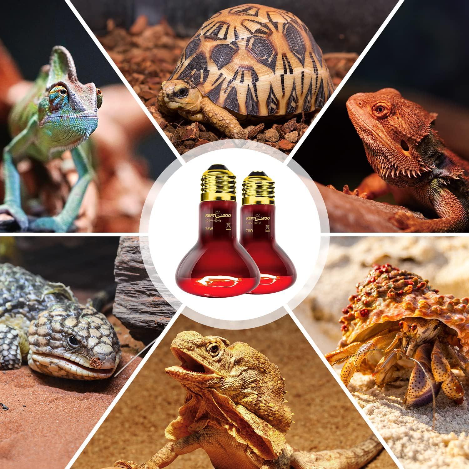 Lámpara de Calor Infrarrojo REPTI ZOO 75W para Reptiles 2PCS