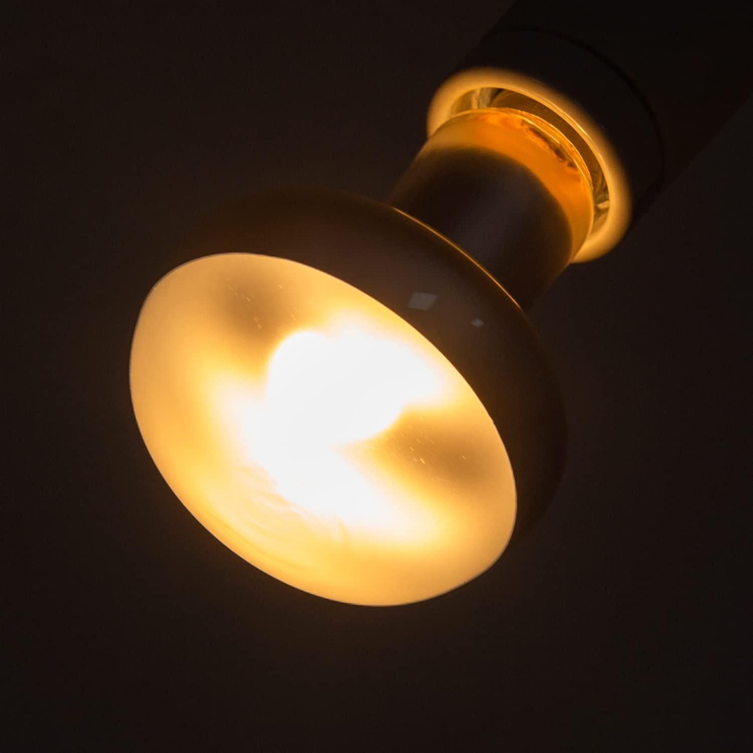 Lámpara de Calor 100W REPTI ZOO para Reptiles y Pollos