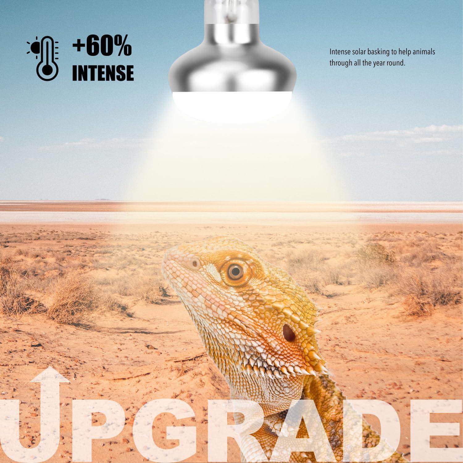 Lámpara de Calor para Reptiles ReptiKing 75W Paquete de 2