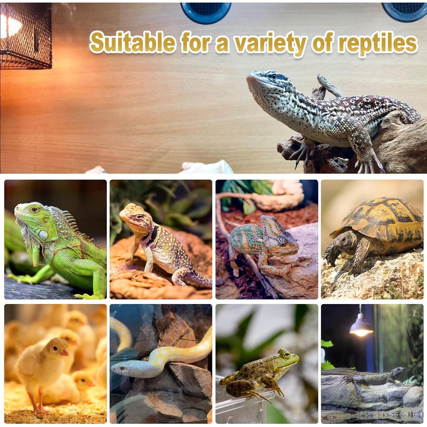 MIXJOY Bombillas de Calor para Reptiles 150W 2Pack UVA