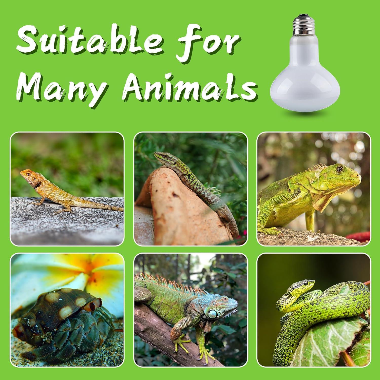 Bombilla de Calor UVA para Reptiles Jugbuy 100W 2 Paquete