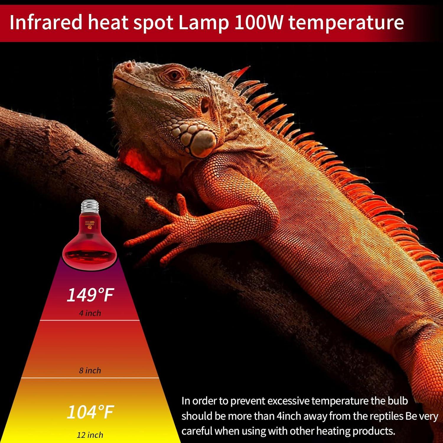 Bombillas de Calor Infrarrojas REPTI HOME 100W para Reptiles