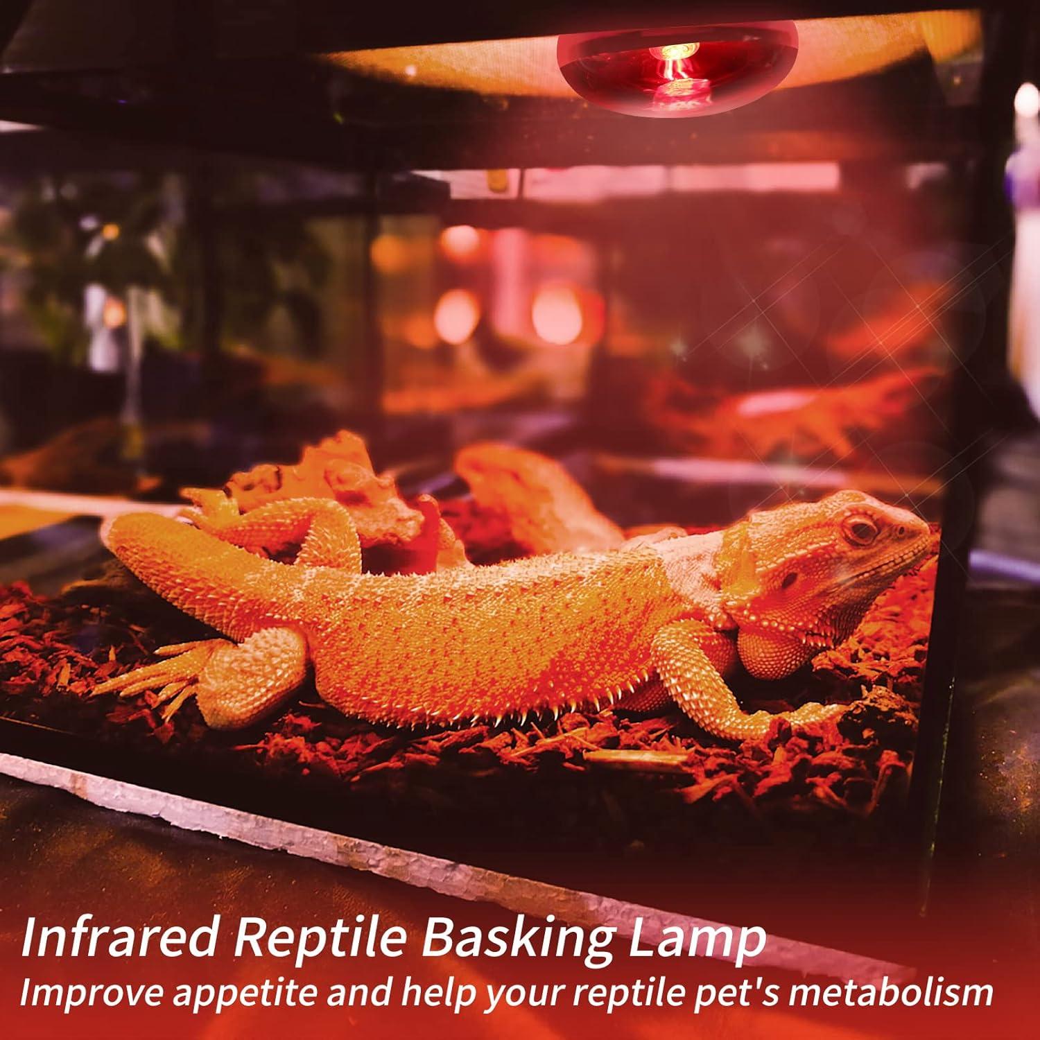 Bombillas de Calor Infrarrojas REPTI HOME 100W para Reptiles