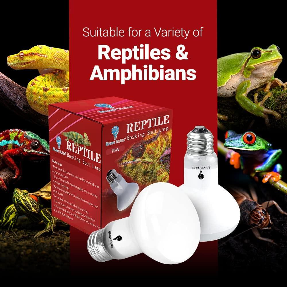 Paquete de 4 bombillas de calor 75W Bluex Bulbs para reptiles
