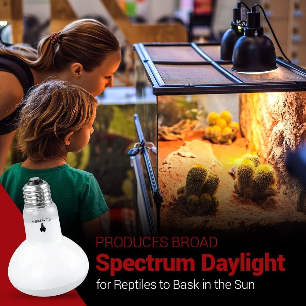 Paquete de 4 bombillas de calor 75W Bluex Bulbs para reptiles