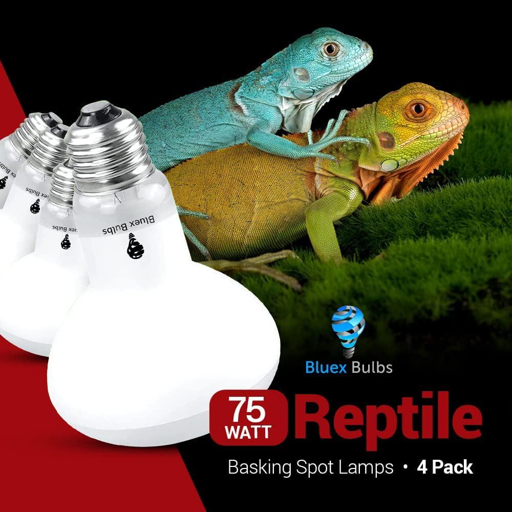 Paquete de 4 bombillas de calor 75W Bluex Bulbs para reptiles