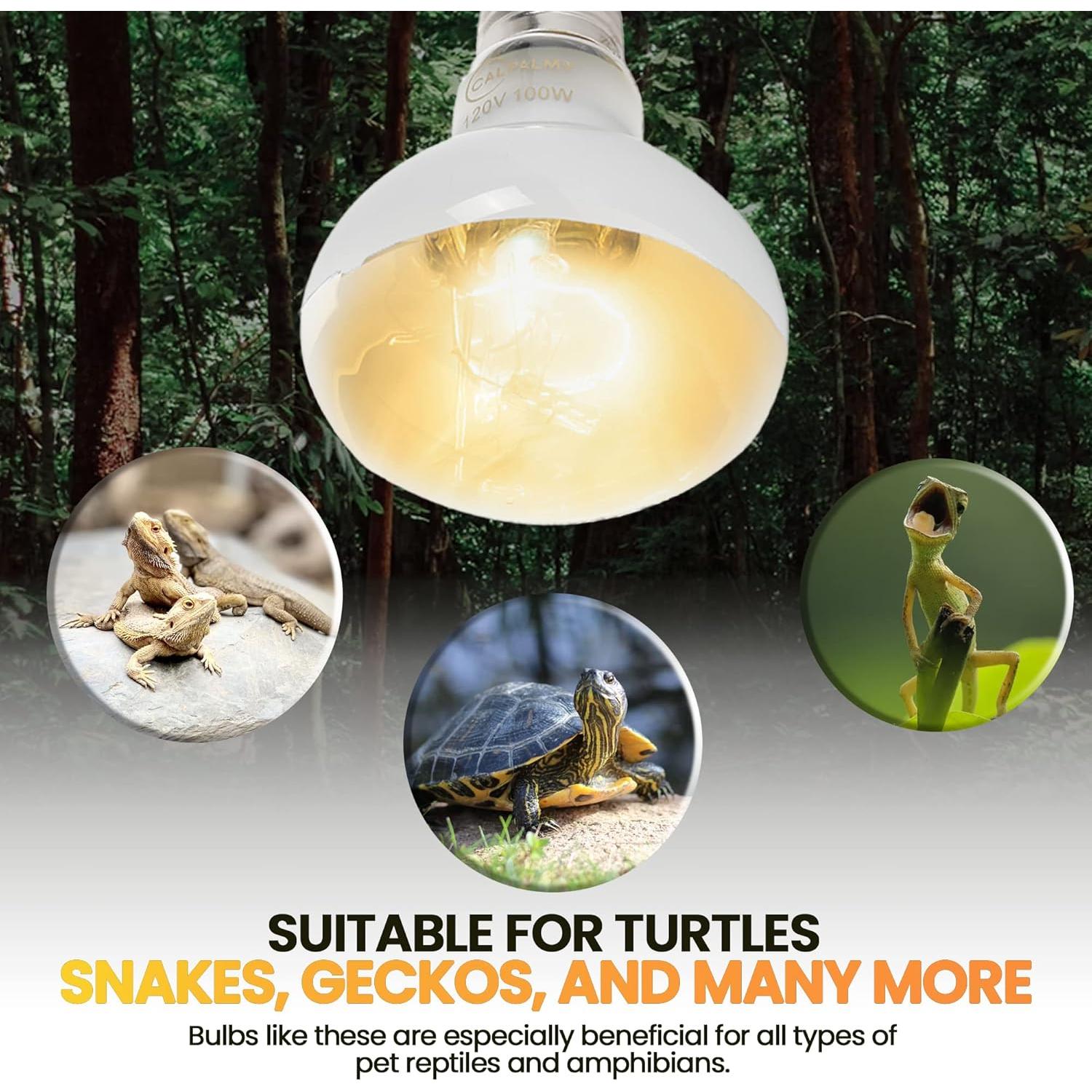 Bombillas de Calor para Reptiles CALPALMY 100W - Paquete de 4