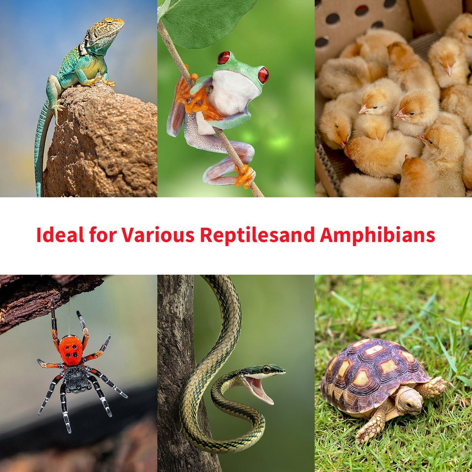 Bombilla de Calor Reptil KOHEOPT 75W 2-Pack UVA e Infrarrojo