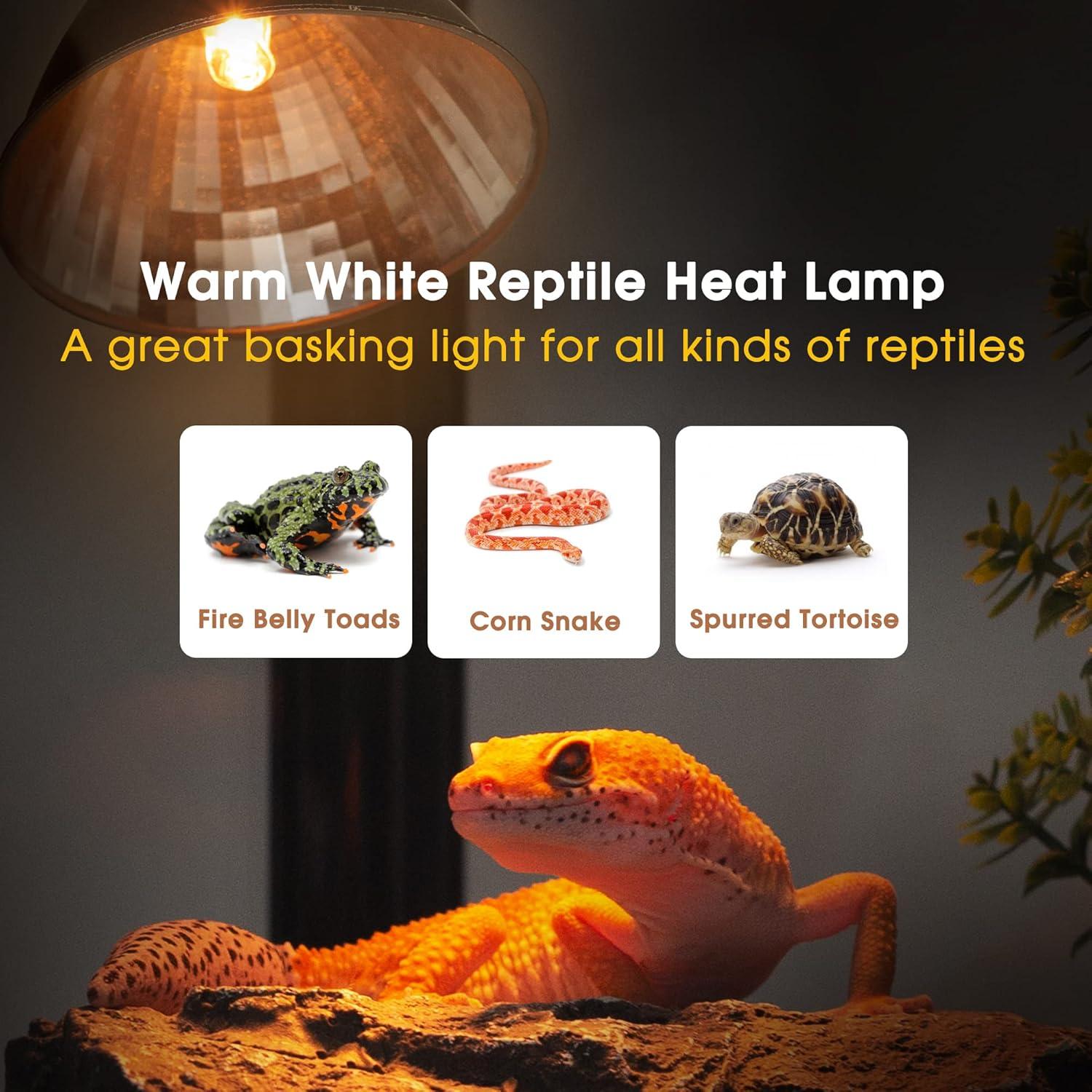 Bombillas de Calor Briignite G9 para Reptiles 50W Paquete de 2
