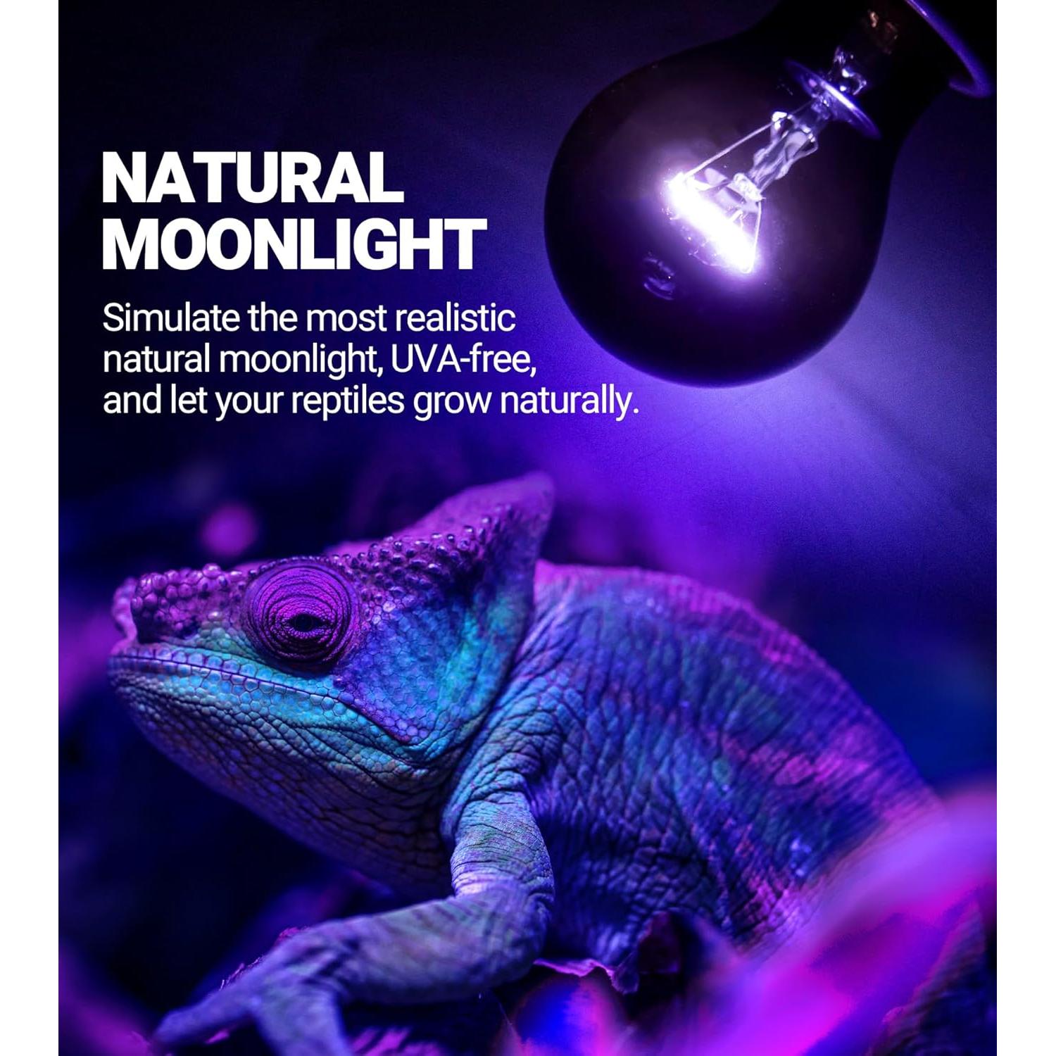 Lámpara de Calor Nocturna REPTI ZOO 100W E26/E27 para Reptiles