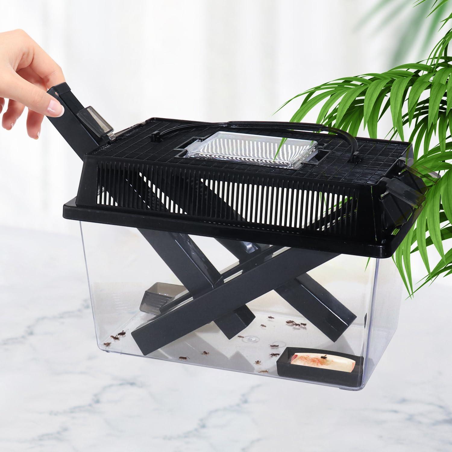 Guardián de Grillos NANEEZOO Grande con Plato y Agua