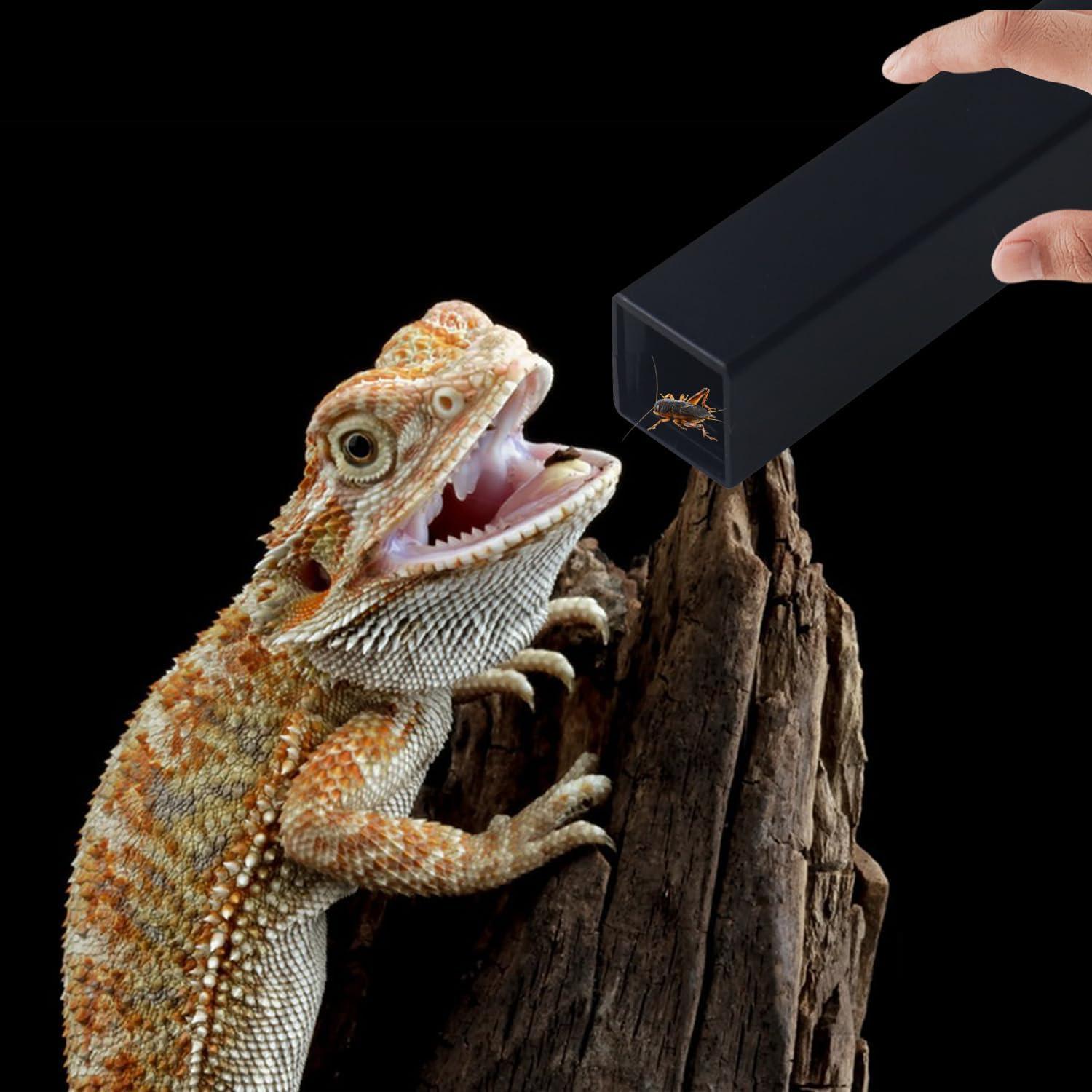 Guardián de Grillos NANEEZOO Grande con Plato y Agua