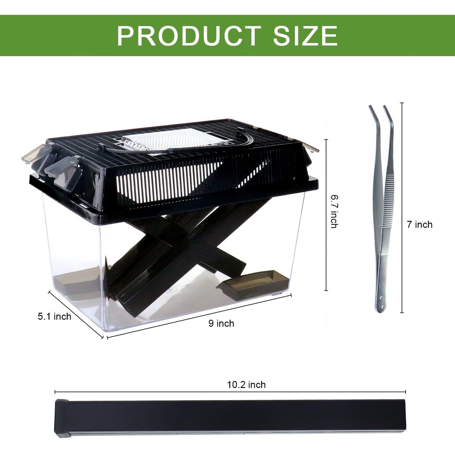 Guardián de Grillos NANEEZOO Grande con Plato y Agua