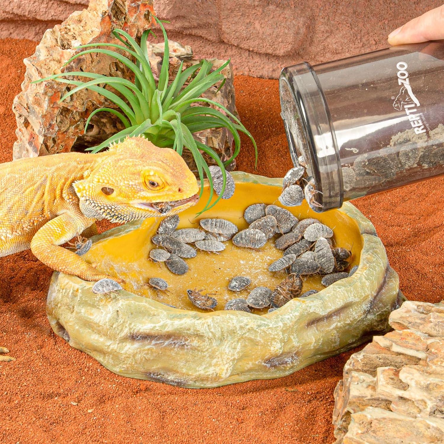 Dispensador de Grillos Reptiles REPTI ZOO con Mezcla de Calcio