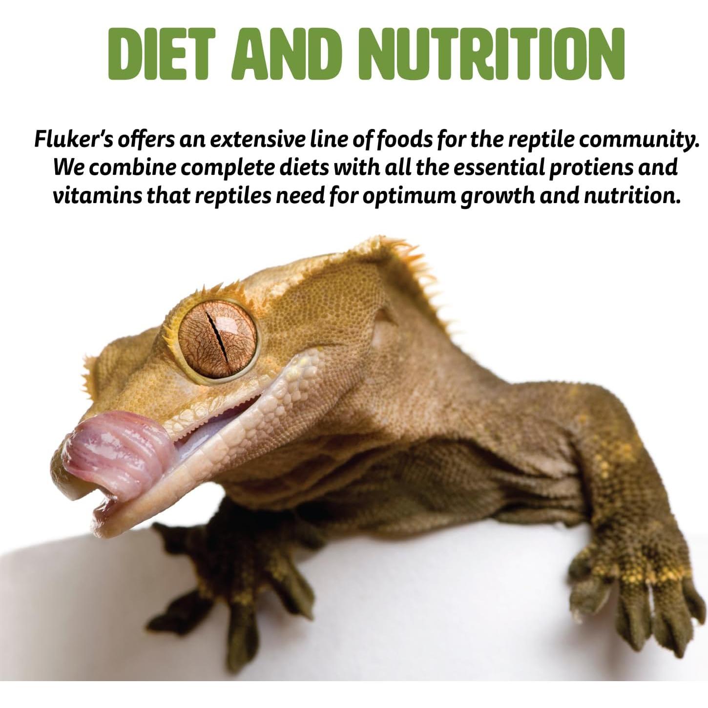 Dieta Completa para Insectos Fluker Cubo Naranja 170 g