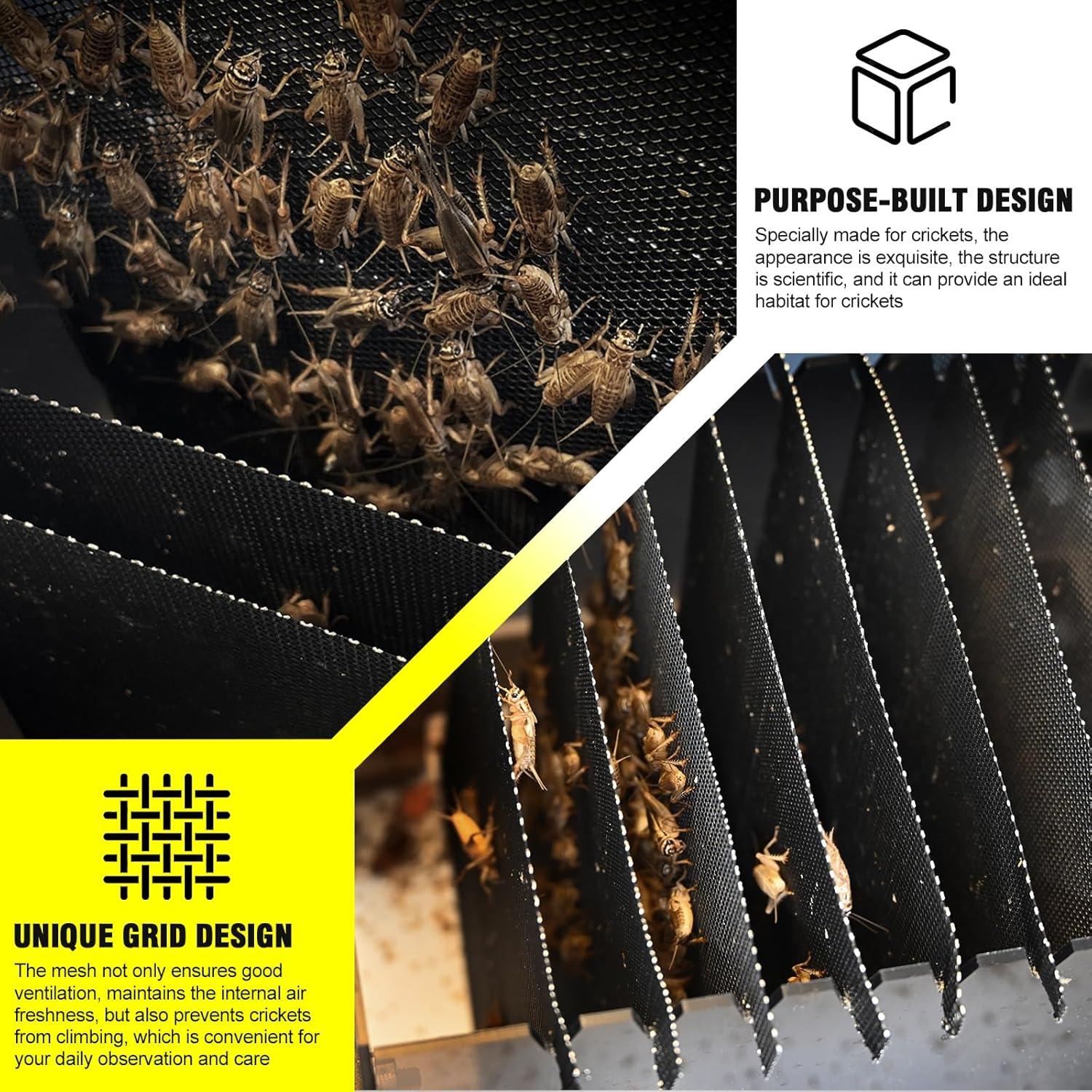 Habitáculo Acrílico para Grillos SIKGFPN 21.1x15.2x17 cm