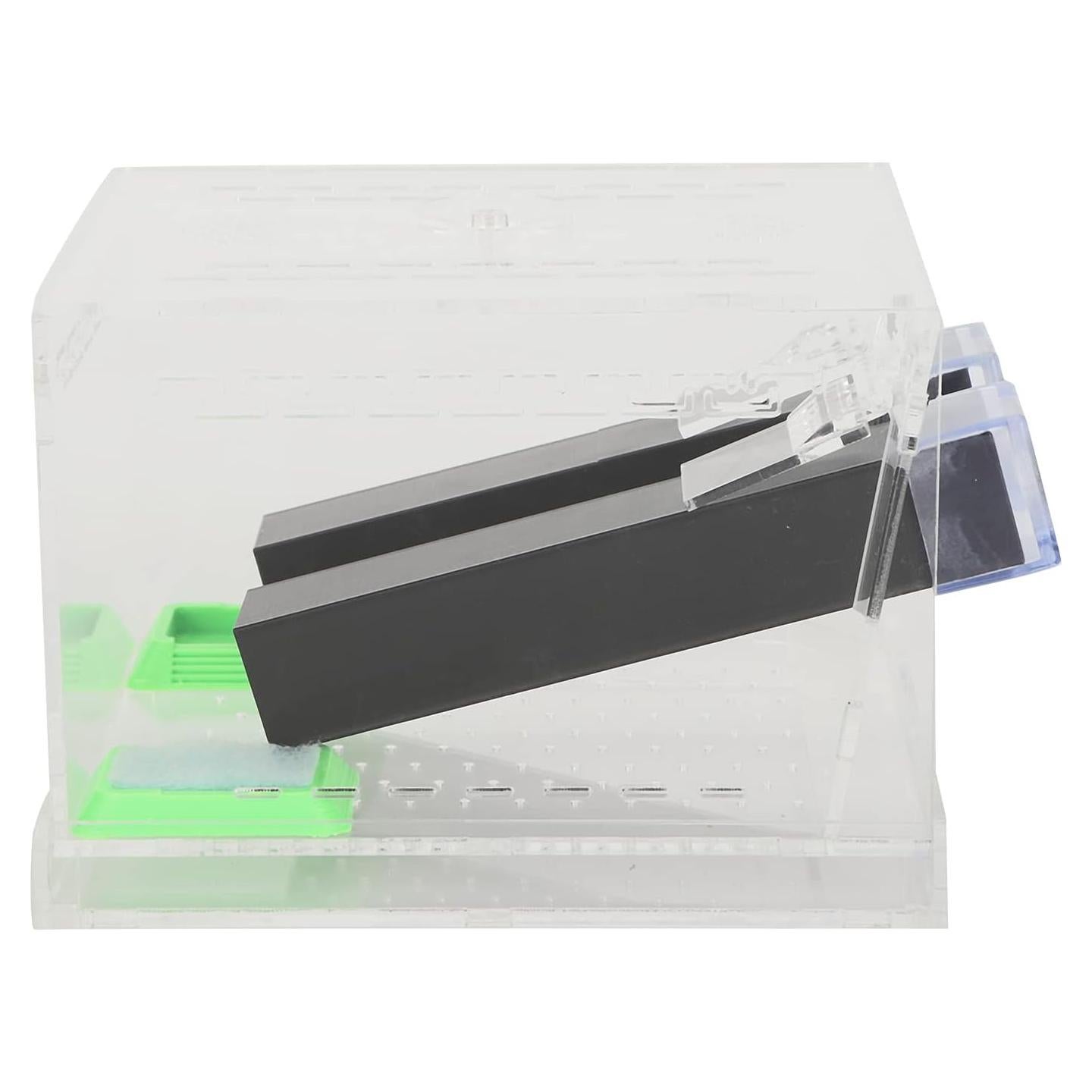 Caja de Grillos Acrílica Shanrya con Tapa Removible (L)