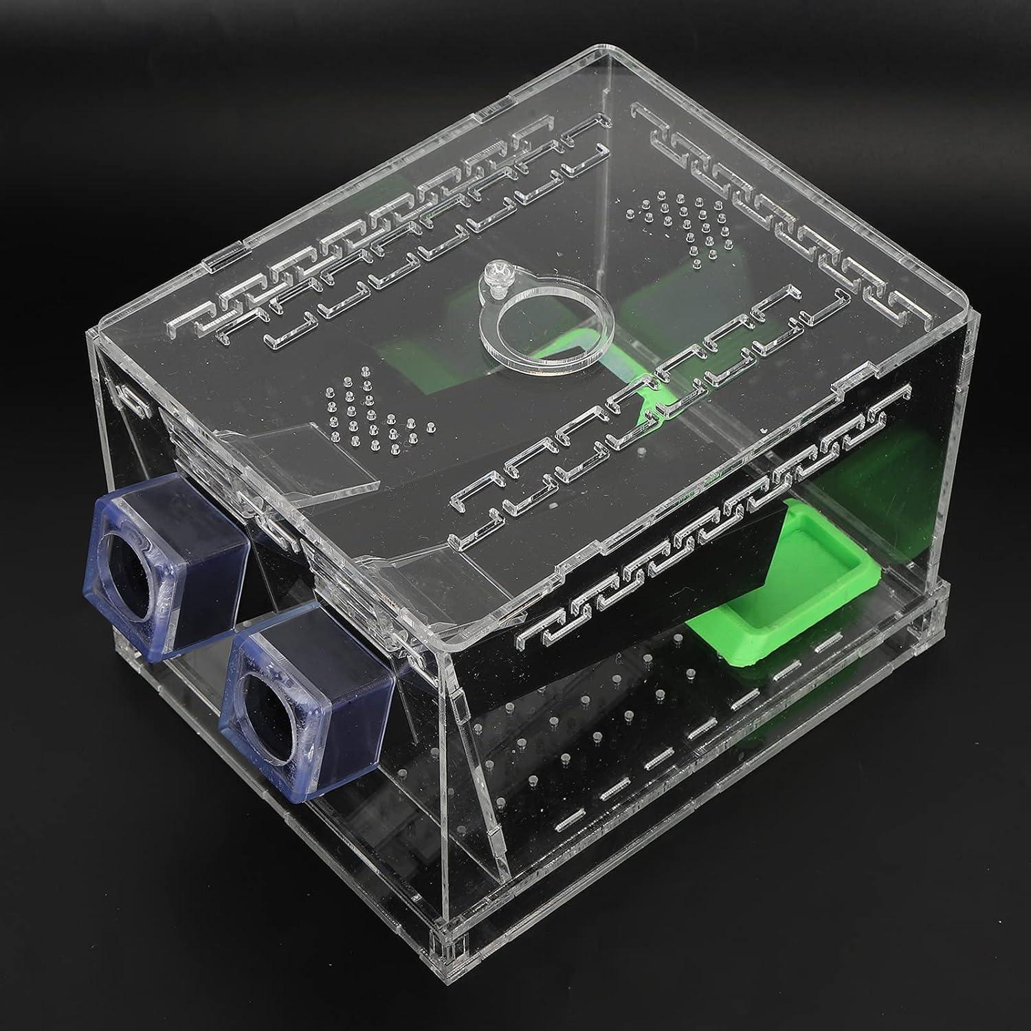 Caja de Grillos Acrílica Shanrya con Tapa Removible (L)